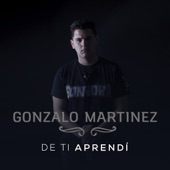 De Ti Aprendí artwork