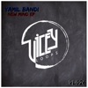 Yamil Bandi - House You