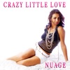 Crazy Little Love - Single