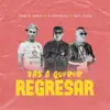 Vas a Querer Regresar - Single album lyrics, reviews, download