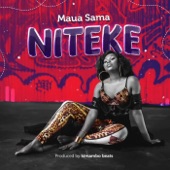 Niteke artwork