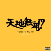 Tenchi Muyo artwork