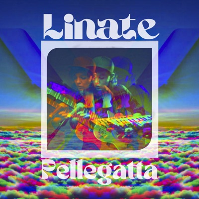 Linate - Pellegatta