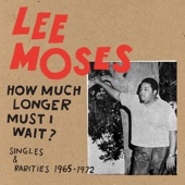 How Much Longer Must I Wait? (Singles & Rarities 1965-1972) artwork