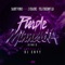 Purple Minnesota (feat. 2 Chainz & DJ Envy) - Single