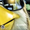 El Capon - Shut up Chicken