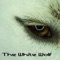 The White Wolf (feat. Lilly Taylor) - Dark Star Music lyrics