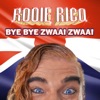 Bye Bye Zwaai Zwaai - Single