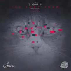 You Don't Know (Sampler) - EP by Coyu album reviews, ratings, credits