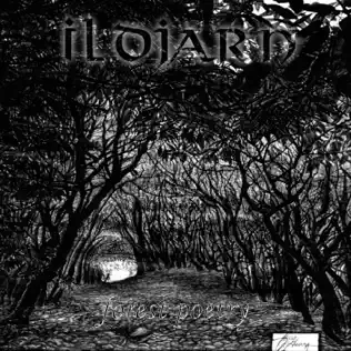 télécharger l'album Ildjarn - Forest Poetry