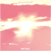 SUNCTUARY artwork