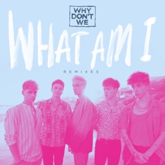 What Am I (Remixes) - EP