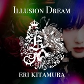 ILLUSION DREAM artwork