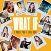 What If (I Told You I Like You) - Single