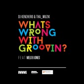 What Is Wrong with Groovin' (feat. Melo B Jones, Thembinkosi Mavimbela, Sthembiso Bhengu, Wandile Molefe & Samuel Ogheneogaga Ibeh) artwork