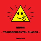 Transcendental Phases artwork