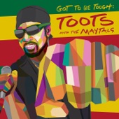 Toots and The Maytals - Having a Party