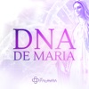 Dna de Maria - Single, 2020