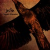 ircle - Blackbird