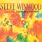 Help Me Angel - Steve Winwood lyrics