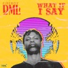 What If I Say - Single