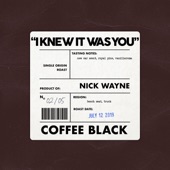 I Knew It Was You by Nick Wayne