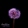 Dandelion - EP