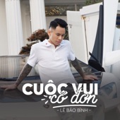 Cuộc Vui Cô Đơn artwork