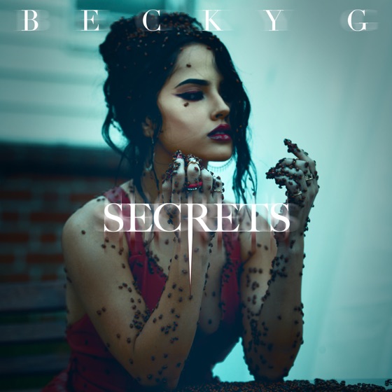 Cover artwork for Secrets