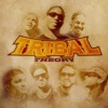 Tribal Theory - Reggae Party