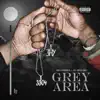 Grey Area album lyrics, reviews, download