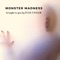 Monster Madness - Evan Taylor lyrics