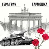 Гармошка - Single