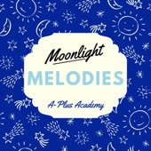 Moonlight Melodies artwork