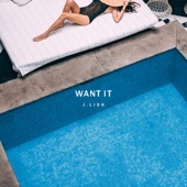 Want It artwork