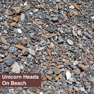 Unicorn Heads - A New Orleans Crawfish Boil - Line Dance Musique