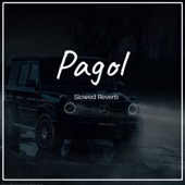 Pagol Slowed Reverb artwork