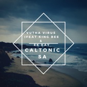 Vutha Virus (feat. King Bee & Ek Kay) artwork