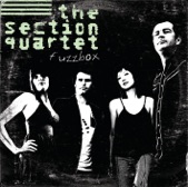 The Section Quartet - Black Hole Sun