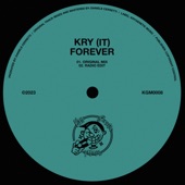 Forever (Extended Mix) artwork