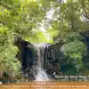 Nature Sounds Series: Waterfall & Tropical Rainforest of Australia album lyrics, reviews, download