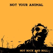 Not Rock and Roll - EP artwork