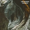 Stalagmites - Single