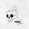 Polvos by Santi Pidal iTunes Track 1