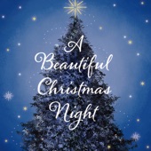 A Beautiful Christmas Night artwork