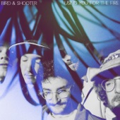 Bird & Shooter - Using You for the Fire