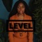 Level (Remastered) artwork