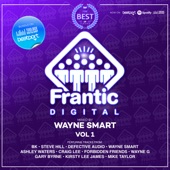 Best of Frantic Digital, Vol. 1 (DJ MIX) artwork