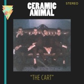 Ceramic Animal - Mistakes