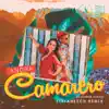 Stream & download Camarero (Stefanescu Remix) - Single